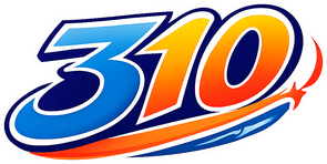 310